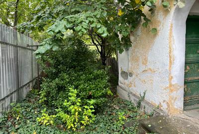 Bucurestii- Noi - zona Bazilescu, str. Pietei - 8