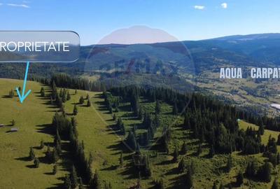 Teren 47,732mp Panaci / Strada MIhailet - 1