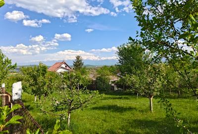 Teren intravilan 1000 mp in Sibiu Daia Noua - 2
