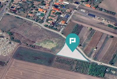 Teren intravilan de 4500 mp în Zădăreni - 2