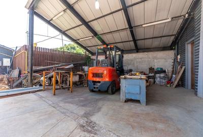 Proprietate speciala, spatiu comercial de 460mp / Pastravarie - 8
