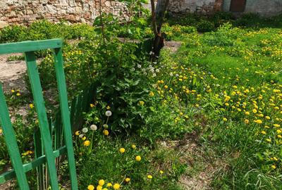 Casa 4 camere libera la vanzare RASNOV - zona Florilor - 18