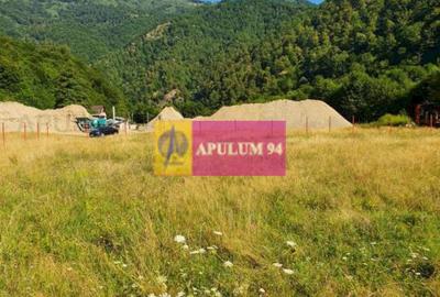 Teren Județul Vâlcea - Brezoi, Valea lui Stan - 13