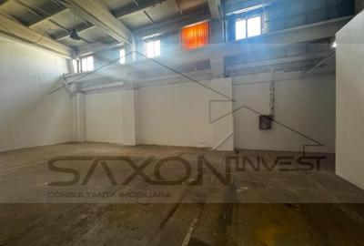 Theodor  Pallady  incinta  IOR   spatiu   industrial 530mp - 1