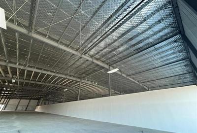 Inchiriere depozit/hala/spatiu industrial/showroom Afumati - DN2 - Dorally, Ilfo - 9