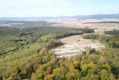 Teren Intravilan - Amplasare Unica - 1