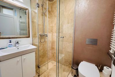 Floreasca || vila cu gradina birou sau rezidential - 9