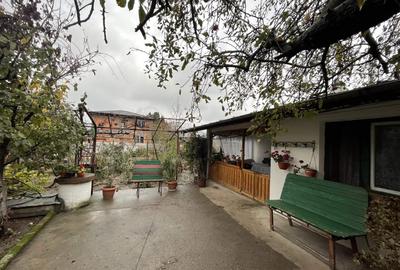 Vila D+P+1E,10 cam,pretabila activitati economice sau birouri,T- 820 mp or.jos - 11