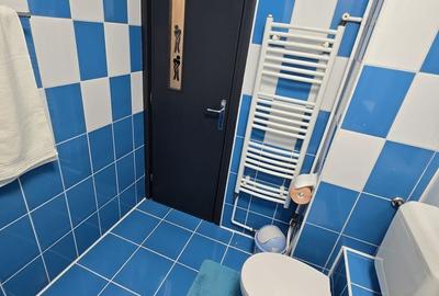 Apartament de vânzare 3 camere Crângasi - 14