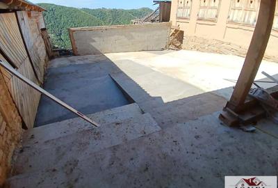 Casa de vanzare in comuna Sasciori cu 84.843 mp teren - 7