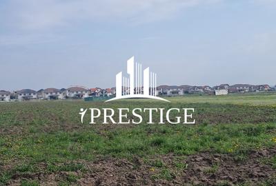 Teren agricol extravilan de 10000 mp, în Șura Mică