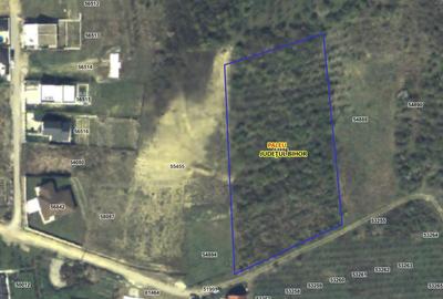 Teren intravilan de 7600 mp, în Săldăbagiu de Munte