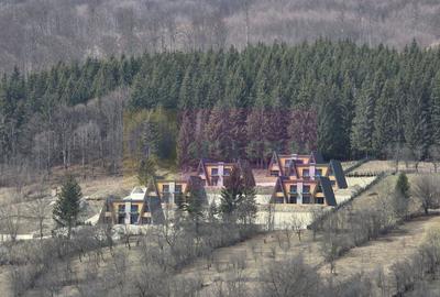 Teren intravilan de vanzare in Valea Doftanei - 14
