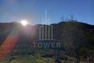 Teren intravilan Fântânele-Sibiu - 1