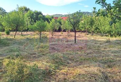 Vila de vanzare cu 6 camere si teren de 5116 mp in Cornu, Prahova - 48