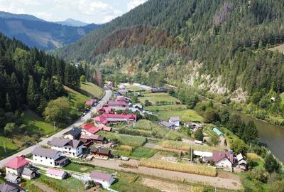 Casă / Vilă 7 camere sat Mădei comuna Borca Jud Neamț - 17