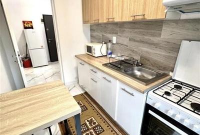 Apartament o camera, mobilat- Lunca Cetățuii - 4