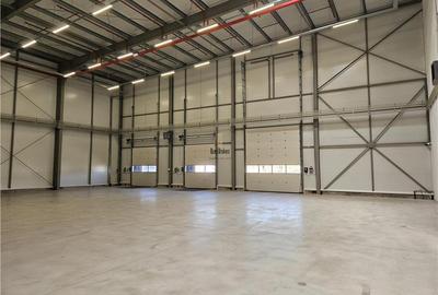 Spatiu Industrial - 5000 mp - Logistica - Productie - Depozitare - Distributie - 3