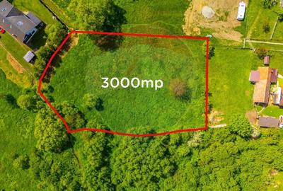 Teren intravilan 3000mp Predelut / Afreim/Casa de vacanta/Pensiune - 1