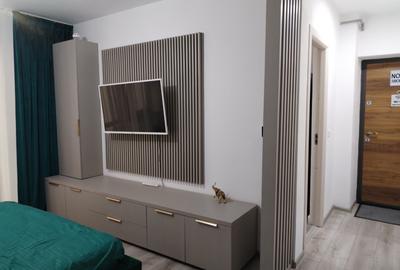 Apartament Studio cu curte proprie - Central - 3