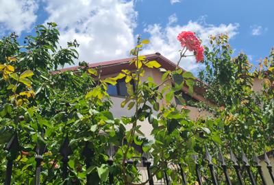 Duplex cu 5 camere în Militari