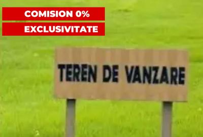 Teren intravilan in Sarbova,judetul Timis - 1