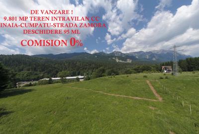 TEREN PENTRU DEZVOLTARE SINAIA-CUMPATU Str. Zamora-9.801 mp-Comision 0% - 16
