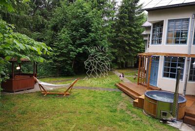 3 Cabane 15 camere 275 mp-teren 1020 mp-ciubar-foisor-Colibita - 2