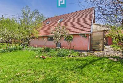 Casă Câmpani, 8000 mp teren, la poalele Apusenilor - 15