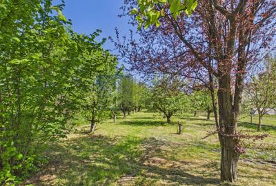 Casă de locuit/vacanță cu livadă, la marginea pădurii — Lipia - 4