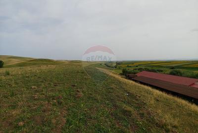 Teren parțial intravilan-300000mp Stroiești-Trei Movile, Suceava - 23