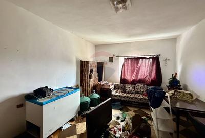 Casă cu 4 camere si teren 7727 mp Blidari - 13