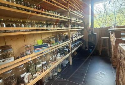Proprietate eco-turistică de vânzare – 62.330 mp, Horea, Alba - 19