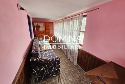 Vanzare casa P+1 situata in comuna Ciuperceni, sat Stramba-Vulcan - 4