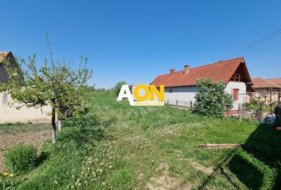 De vanzare 1218 teren intravilan, cu utilitati si asfalt, Oarda de Jos - 3