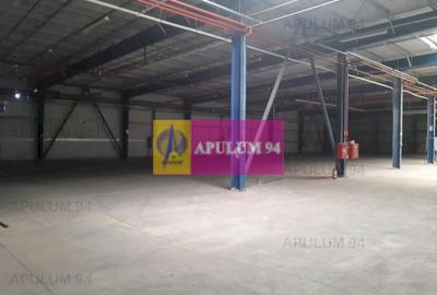 Spatiu Logistic langa Bucuresti Hala 5000 mp - 30