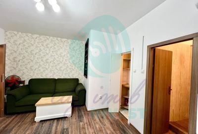 Garsoniera pentru investiție-langa Parcul Izvor - 1