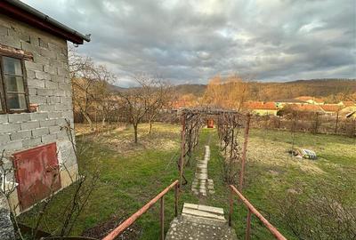 Bocsa Montana, Casa Solida + Gradina, Strada Principala - 24