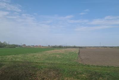 TEREN INTRAVILAN DE 2134 MP CU DRUM PROPRIU ÎN PREJMER – IDEAL PENTRU INVESTIȚIE - 3