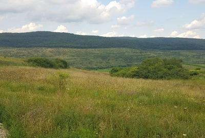 Teren intravilan 3750 mp, cu PUZ, zona platoului Radaia - 3