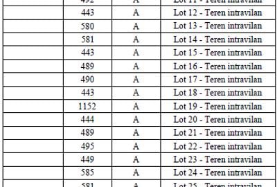 Teren intravilan dezmembrat cu PUZ - 35 Loturi - Domnesti/Teghes - 4