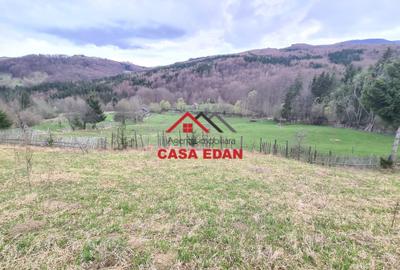 Teren extravilan Valea Doftanei 20.500 mp 6e mp - 7
