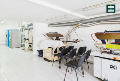 Spațiu comercial / industrial - 9 camere - Zona Elisabetin - Timișoara - 11