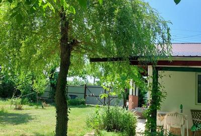 Casa 3 camere Parter Giurgiu Com Bucsani - 5