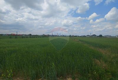 Teren intravilan 6,600mp Dumbraveni / Strada Principala spre Veresti - 5