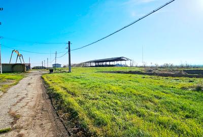 Complex imobiliar format din cladiri si constructii industriale+teren intravilan - 7