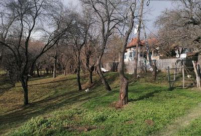VAND CASA BATRANEASCA, 3,1 HA IN JURUL CASEI, COM.CETATENI - 1