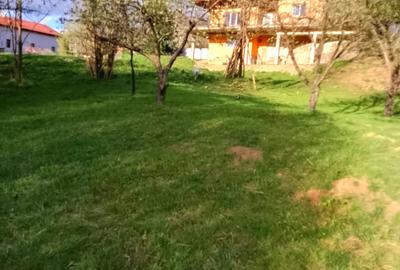 Gospodarie, casa cu 5 camere si 8272 mp teren, in Oarda - 19