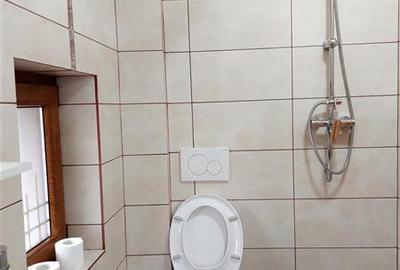 Casa mare pentru locuit sau birouri! De inchiriat sau de vanzare! - 16