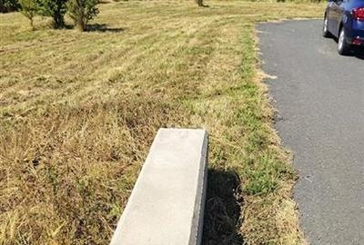 RECO Teren Intravilan Nojorid – Les - 1